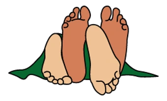 Sexfeetgreen